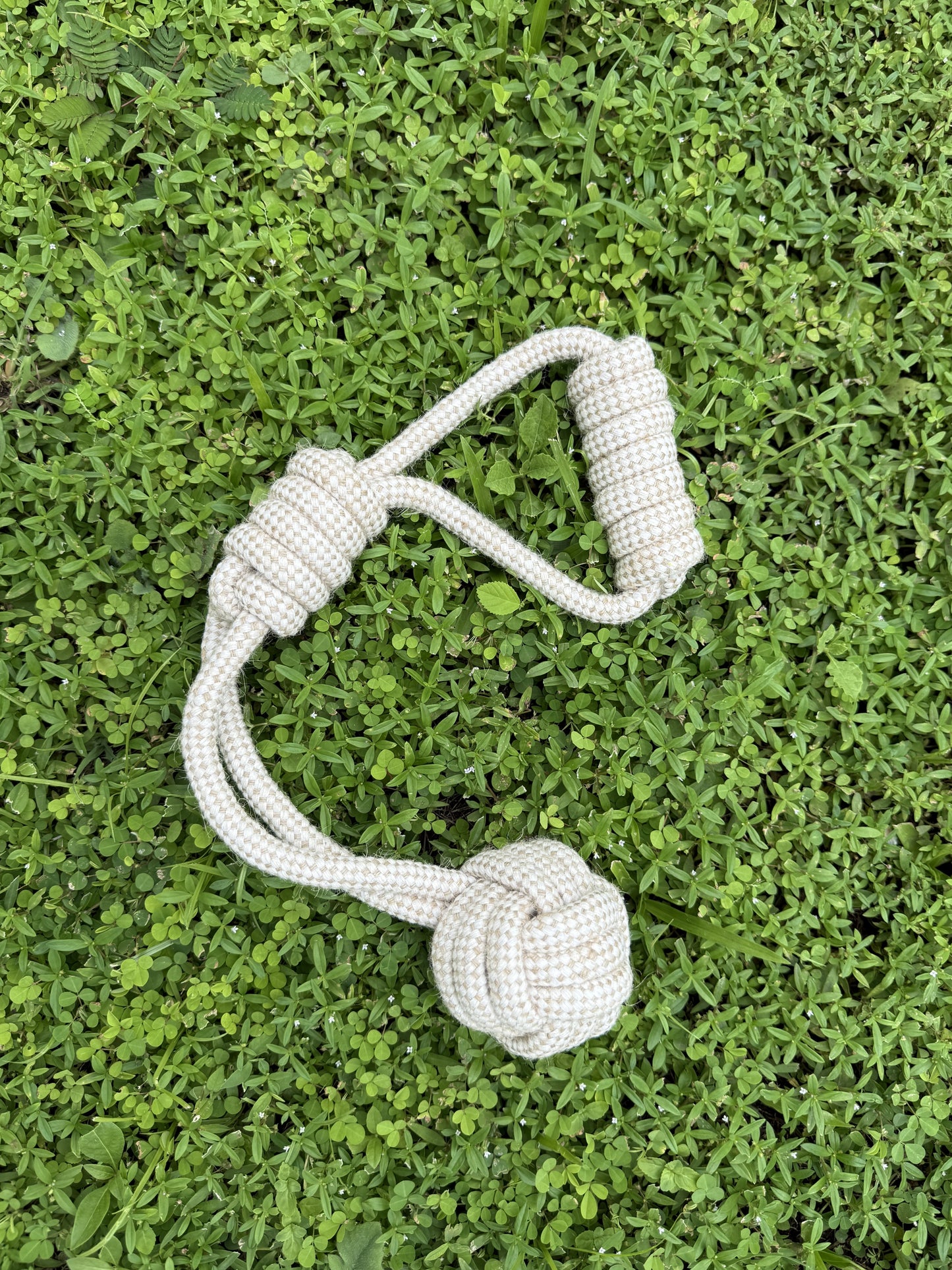 Bark & Bite Hamper
